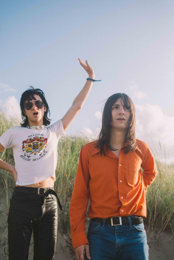 lemontwigs.jpeg?1e3f547de7